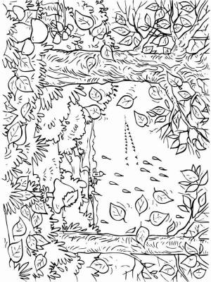 Раскраски Антистресс Деревья