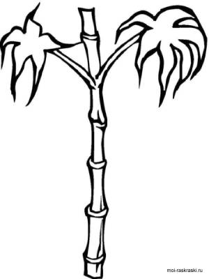 Раскраска Бамбук