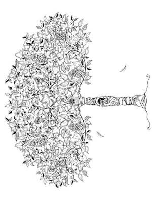 Раскраски Деревья Антистресс