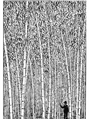 Раскраски Бамбук Антистресс   в формате