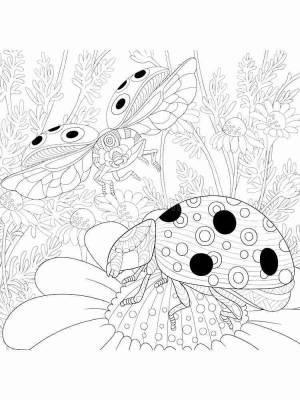 Раскраски Божья коровка Антистресс