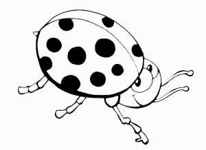Раскраска божья коровка