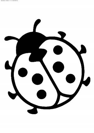 Раскраска Божья коровка