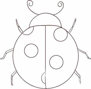 Раскраски Раскраска Круглая божья коровка