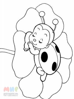 Раскраска Божья коровка