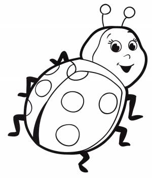 Раскраска Милая божья коровка