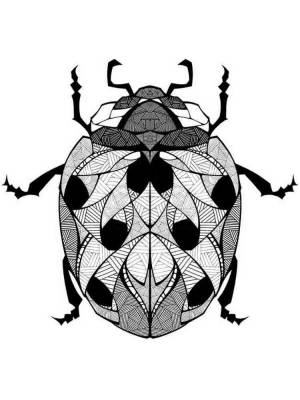 Раскраски Божья коровка Антистресс