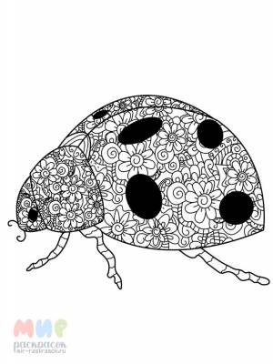 Раскраска Божья коровка взлетела ловко