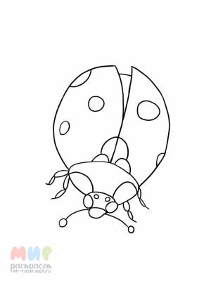 Раскраска Божья коровка взлетела ловко