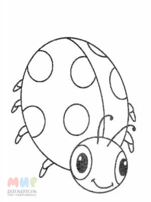 Раскраска Божья коровка