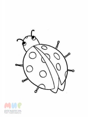Раскраска Божья коровка