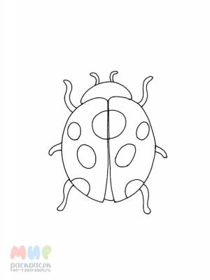 Раскраска Божья коровка повела бровкой