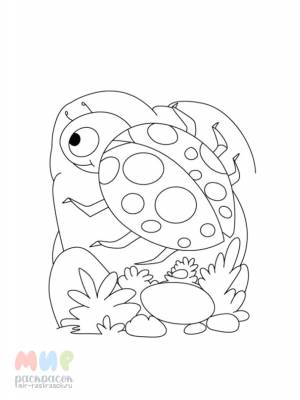 Раскраска Божья коровка взлетела ловко