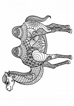 Раскраска антистресс верблюд