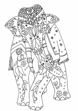 Раскраски Раскраска Верблюд с узорами раскраски антистресс