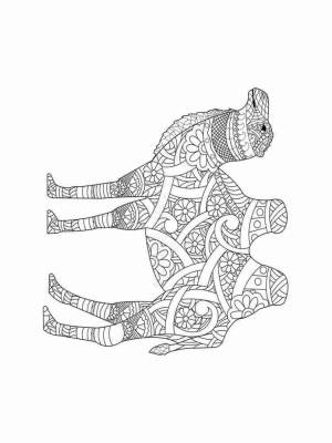 Раскраски Верблюд Антистресс