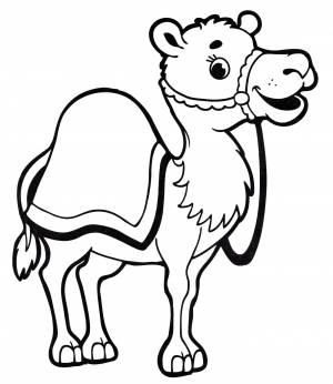 Раскраска Веселый верблюд