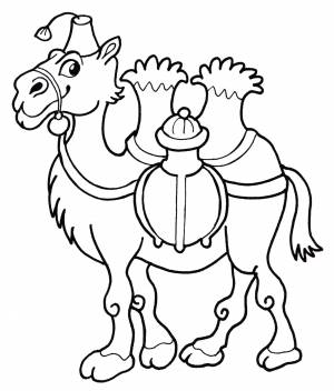 Раскраска Верблюд с двумя горбами