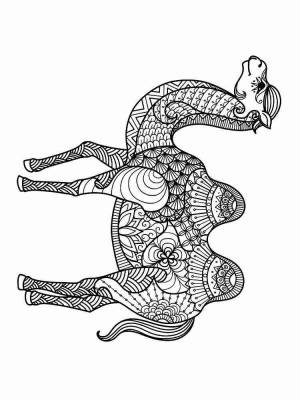 Раскраски Верблюд Антистресс