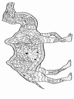 Раскраски Верблюд Антистресс