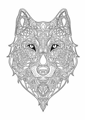 Раскраска Волчья голова антистресс