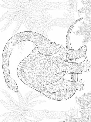 Раскраска Динозавры Антистресс черно белая для мальчиков