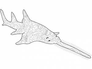 Рыба-пила раскрашивает антистрессовые рисунки черными линиями и белым фоном цветы природы вектор