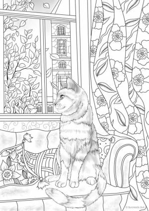 Раскраски для взрослых Антистресс