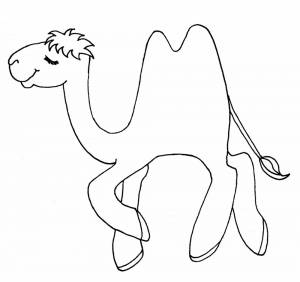 Раскраска Верблюд