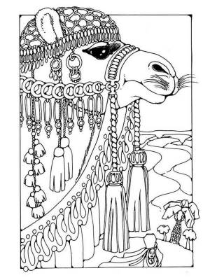 Раскраски Верблюд Антистресс