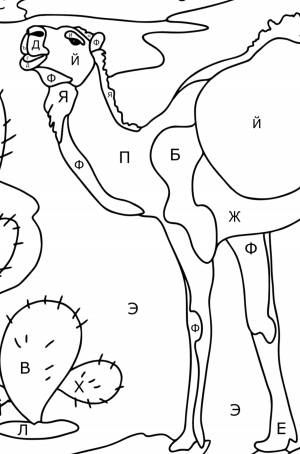 Верблюд в пустыне