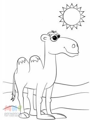 Раскраска Верблюд два горба тут