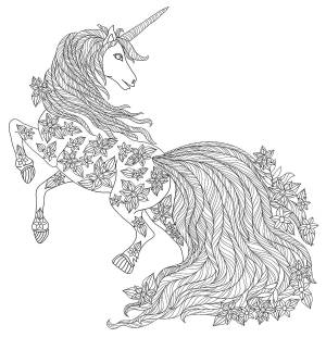 Раскраски водяной единорог