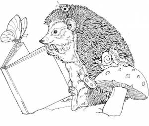 Раскраски ежик, Раскраска Ежик читает книгу
