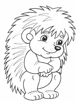 Картинка ежа раскраска