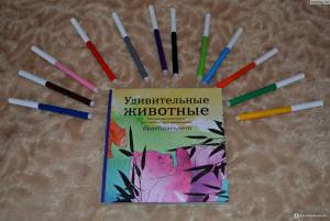 Удивительные животные раскрасьлето