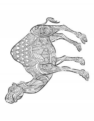 Раскраски Раскраска Раскраска антистресс раскраски антистресс