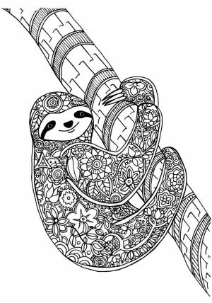 Раскраски в