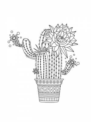 Раскраска Кактус   в формате