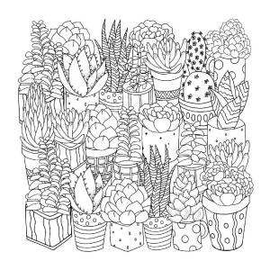 раскраска-антистресс Bourgeois , 72 стр 20х20 см, Цветочный дизайн