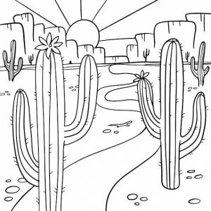 Раскраска с цветущим кактусом в пустыне аризоны раскраска антистресс для детей и