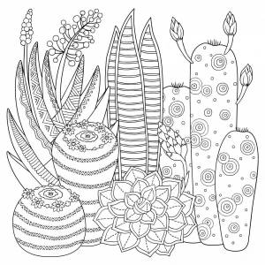 Раскраски Антистресс кактус