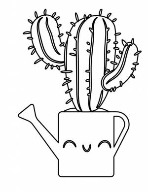 Раскраска «Кактусы» для детей