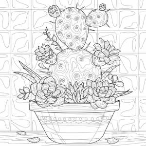 Кактус и суккуленты в вазонераскраска антистресс для детей и взрослых