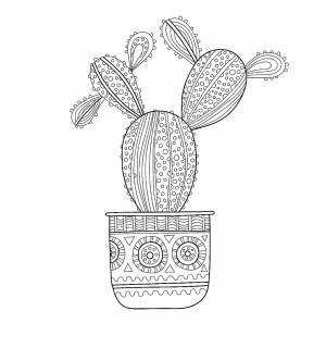 Раскраска кактус в горшке ,   рисовать онлайн
