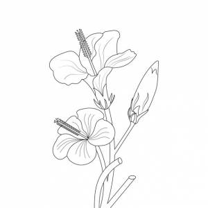 Цветущий кактус в горшке