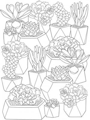Раскраски Кактус