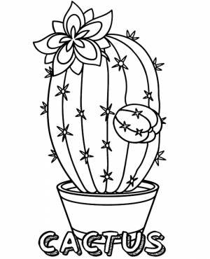 Кактус раскраска для детей