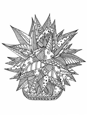 Раскраски Кактус Антистресс