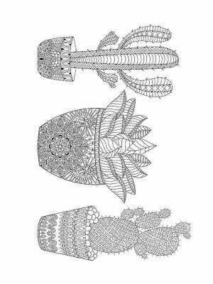 Раскраски Кактус Антистресс